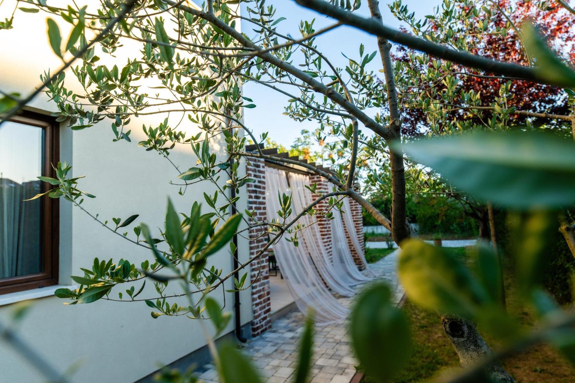 Villa House 