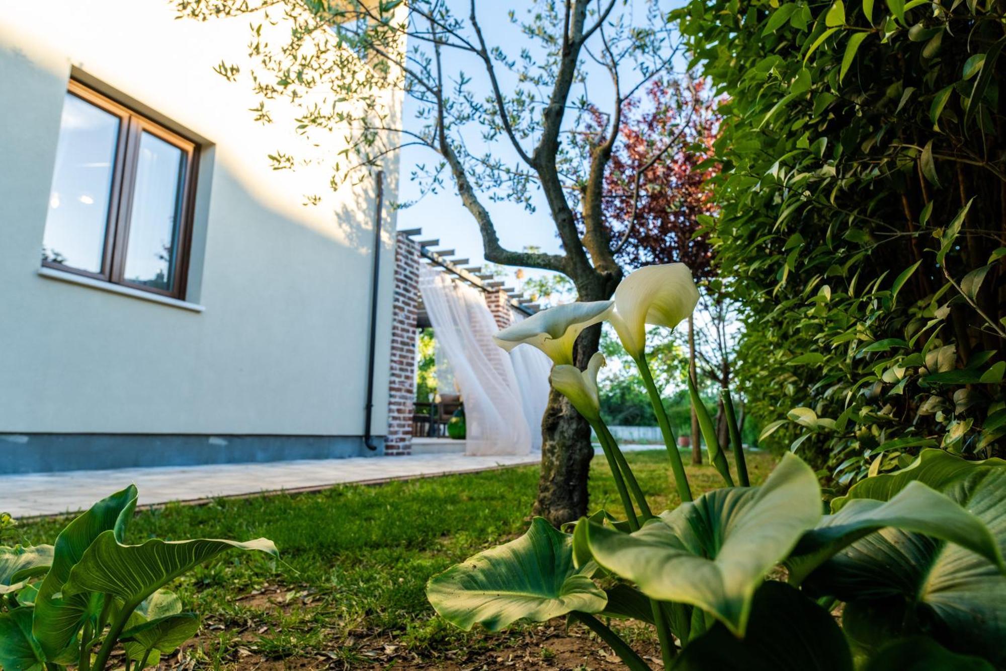 Villa House 